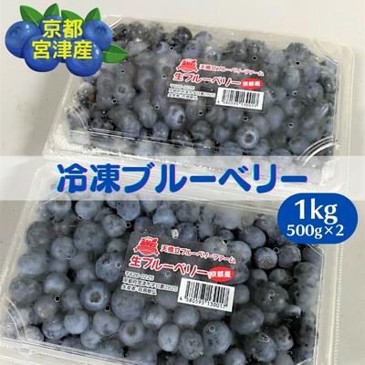 京都 天橋立産 冷凍 ブルーベリー 1kg(500g×2パック) [ 果物 果実 フルーツ 冷凍フルーツ 冷凍果物 国産 大粒 そのまま ヨーグルト アイス トッピング ケーキ ジャム スムージー 便利 アレンジ ]