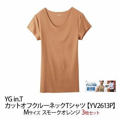 30位! 口コミ数「0件」評価「0」グンゼ YG in.T カットオフクルーネックTシャツ【YV2613P】Mサイズ スモークオレンジ3枚セット GUNZE　【 ファッション ･･･ 