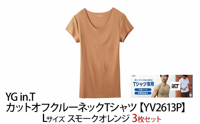 【ふるさと納税】グンゼ YG in.T カットオフクルーネックTシャツ【YV2613P】Lサイズ スモークオレンジ3枚セット GUNZE　【 ファッション 服 男性 メンズ インナー 】