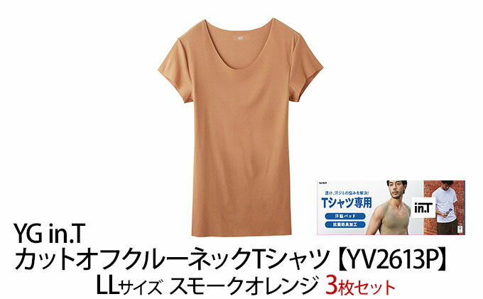 【ふるさと納税】グンゼ YG in.T カットオフクルーネックTシャツ【YV2613P】LLサイズ スモークオレンジ3枚セット GUNZE　【 ファッション 服 男性 メンズ インナー 】