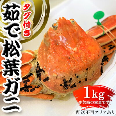 アイテムID:587469の画像1枚目