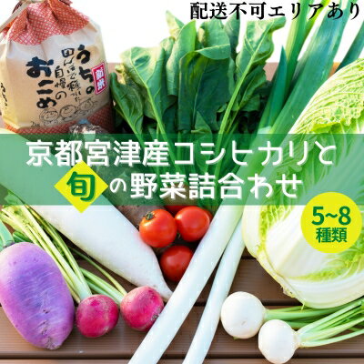 【ふるさと納税】京都 宮津産 コシヒカリ と 旬の野菜詰合わせ[ 米 新鮮 野菜 朝食 ]　【 お米 旬の野菜 季節の野菜 国産 お米と野菜のセット 】