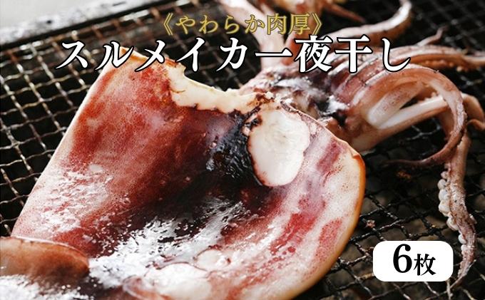 【ふるさと納税】柔らか肉厚の スルメイカ 一夜干し 6枚[ 国産 干物 肴 つまみ イカ ]　 魚貝類 海鮮 海の幸 いかの一夜干し お酒のあて フライパンで焼ける スルメイカの一夜干し