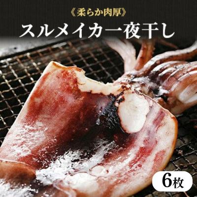 30位! 口コミ数「0件」評価「0」柔らか肉厚の スルメイカ 一夜干し 6枚[ 国産 干物 肴 つまみ イカ ]　【 魚貝類 海鮮 海の幸 いかの一夜干し お酒のあて フライパ･･･ 