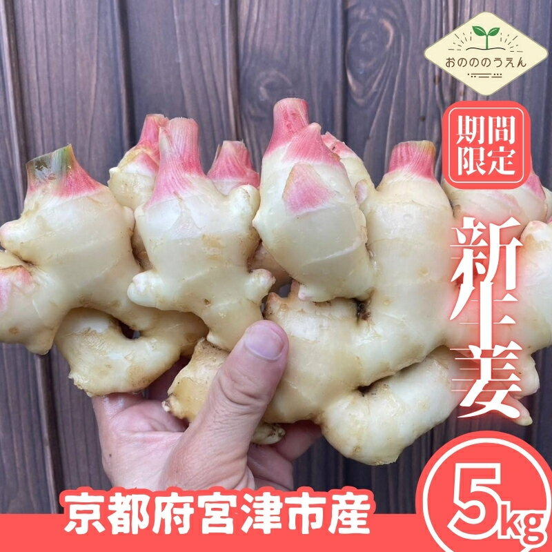 【ふるさと納税】【2025年発送分予約】京都府産 新生姜 5kg 栽培期間中 農薬 化学肥料 除草剤不使用 生姜 しょうが 酢漬け 薬味 野菜 紅茶 ガリ チューハイ 健康 国産 おつまみ 宮津市 お届け:2025年9月下旬~順次発送にてお届けします。