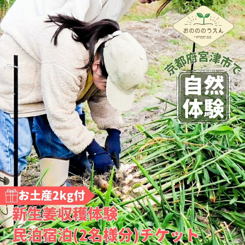 【ふるさと納税】京都府産　お土産付き生姜収穫体験 新生姜お土産2kg付＋民泊宿泊(2名様分)チケット　【宮津市】