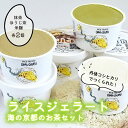 【ふるさと納税】【グルテンフリー・乳不使用】お米でできたライスジェラート 海の京都のお茶6個セット(3種各2個) 宮津市(4)
