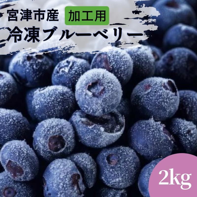 【ふるさと納税】加工用 天橋立産冷凍ブルーベリー2kg