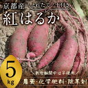 【ふるさと納税】京都府産 サツマイモ (紅はるか) 5kg 栽培期間中農薬・化学肥料・除草剤不使用 お届け:12月中旬頃~2月中旬頃