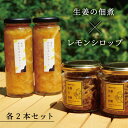 【ふるさと納税】レモンシロップと佃煮セット(各2個)  お届け:2025年12月中旬以降の発送