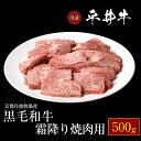 【ふるさと納税】牛肉 最高級黒毛和牛『平井牛』A5 焼肉用 霜降り500g＜京都丹波牧場＞≪希少 和牛 京都肉 京都産 亀岡産 冷凍 真空 送料無料≫