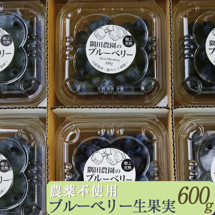 [先行予約][すだ農園]栽培期間中農薬不使用 朝摘み ブルーベリー 生果実 600g◇ | 果実 新鮮フルーツ ※北海道・沖縄・離島への発送不可 ※2026年7月上旬〜8月中旬頃に順次発送予定 月間MVPふるさと納税賞 第1号(2020年10月)・SDGs未来都市亀岡