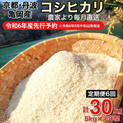 【令和6年産先行予約】米 定期便 5kg×6ヶ月 30kg コシヒカリ 佐伯の里の源流米 希少 農家直送 令和6年産 新米 白米 5キロ 6回 低農薬米 減農薬米 京都丹波産 こしひかり 生活応援※北海道・沖縄・離島の配送不可 発送月選択