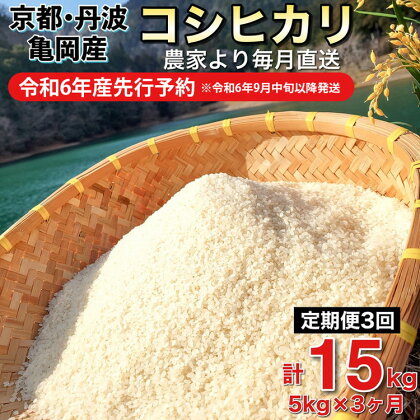 【令和6年産先行予約】米 定期便 5kg×3ヶ月 15kg コシヒカリ 佐伯の里の源流米 希少 農家直送 令和6年産 新米 白米 5キロ 3回 低農薬米 減農薬米 京都丹波産 こしひかり 家計応援 生活応援　※北海道・沖縄・離島への配送不可 発送月選択