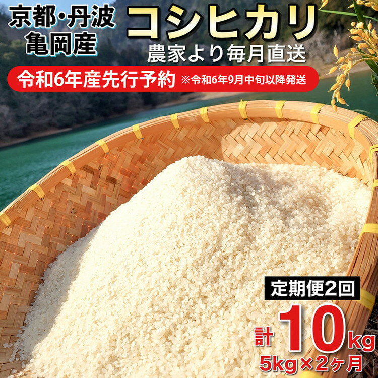 【令和6年産先行予約】米 定期便 5kg×2ヶ月 10kg コシヒカリ 佐伯の里の源流米 希少 農家直送 令和6年産 新米 白米 5キロ 2回 低農薬米 減農薬米 京都丹波産 こしひかり 家計応援 生活応援　※北海道・沖縄・離島への配送不可 発送月選択