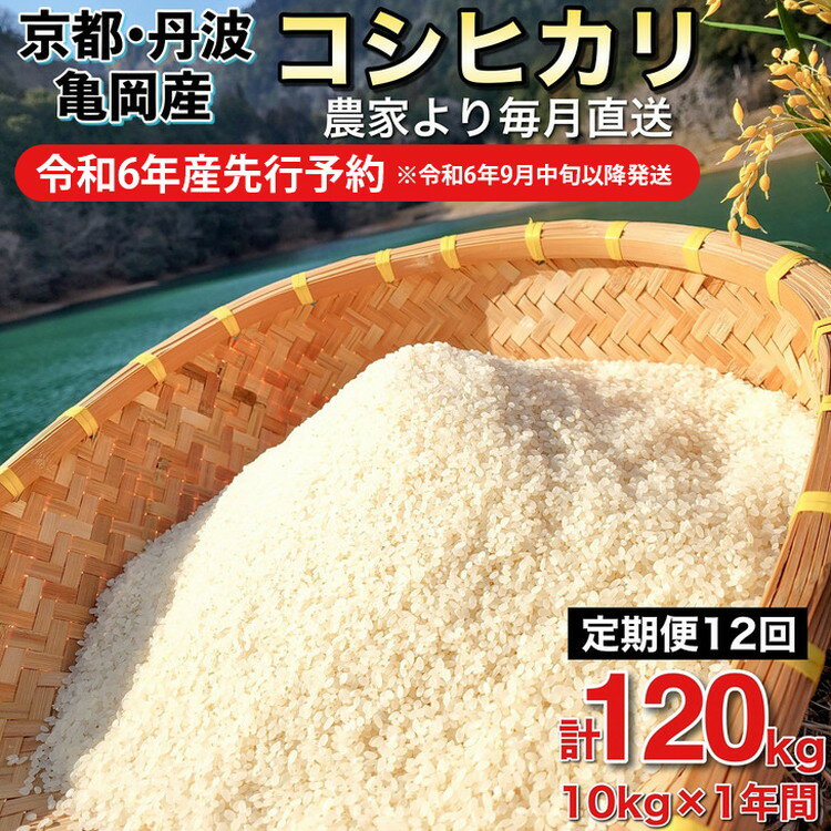 【令和6年産先行予約】米 定期便 10kg×12ヶ月 120kg コシヒカリ 佐伯の里の源流米 希少 農家直送 令和6年産 新米 白米 10キロ 12回 低農薬米 減農薬米 京都丹波産 こしひかり 家計応援 生活応援　※北海道・沖縄・離島配送不可 発送月選択