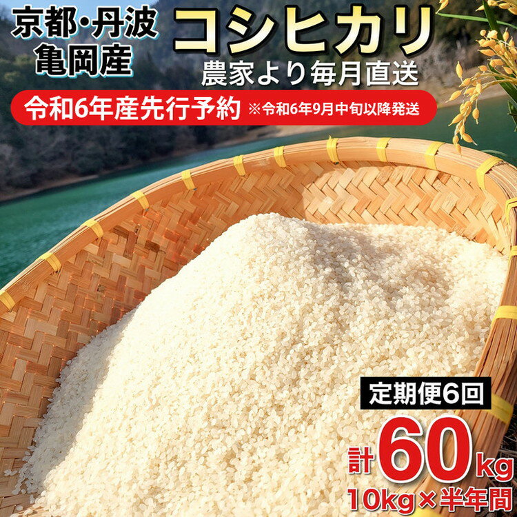 【令和6年産先行予約】米 定期便 10kg×6ヶ月 60kg コシヒカリ 佐伯の里の源流米 希少 農家直送 令和6年産 新米 白米 10キロ 6回 低農薬米 減農薬米 京都丹波産 こしひかり 家計応援 生活応援　※北海道・沖縄・離島配送不可 発送月選択