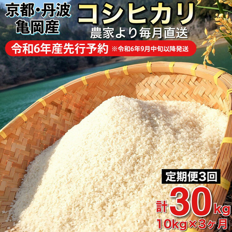 【ふるさと納税】【令和6年産先行予約】米 定期便 10kg×3ヶ月 30kg コシヒカリ 佐伯の里の源流米 希少...