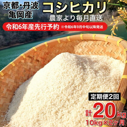 【令和6年産先行予約】米 定期便 10kg×2ヶ月 20kg コシヒカリ 佐伯の里の源流米 希少 農家直送 令和6年産 新米 白米 10キロ 2回 低農薬米 減農薬米 京都丹波産 こしひかり 家計応援 生活応援 ※北海道・沖縄・離島配送不可 発送月選択