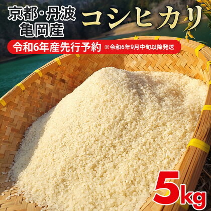 【令和6年産先行予約】【お試し】米 5kg コシヒカリ 佐伯の里の源流米［新米・先行予約・令和6年産米］ 白米 5キロ 低農薬米 減農薬米 京都丹波産 こしひかり ※お一人様1点限り※北海道・沖縄・離島への配送不可 発送月選択