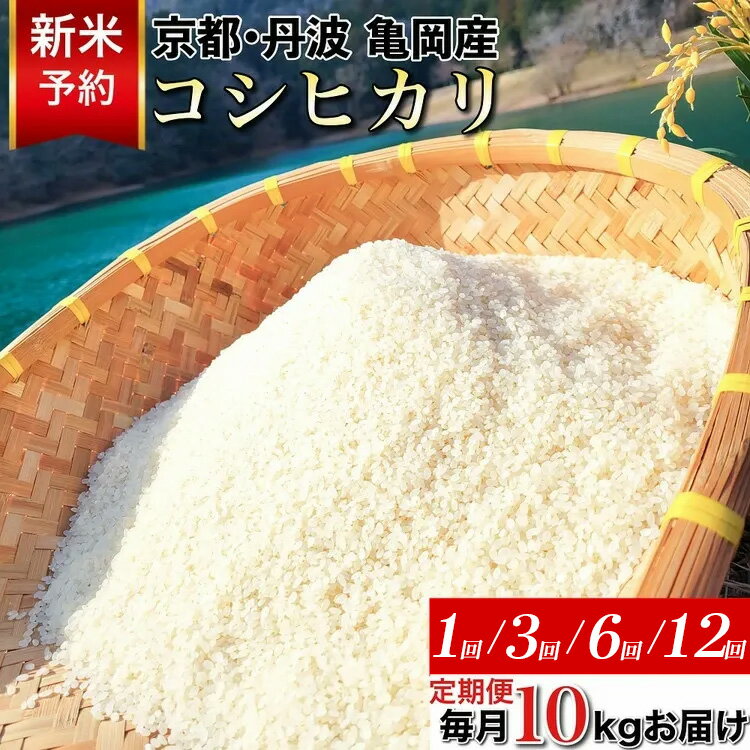 【ふるさと納税】【令和7年産 新米 先行予約】米 定期便 10kg 1回 3回 6回 12回 京都丹波産 コシヒカリ 佐伯の里の源流米 希少 産地直送 予約 白米 10キロ 1ヶ月 3ヶ月 6ヶ月 12ヶ月 こしひかり 低農薬米 減農薬米 生活応援 ※北海道・沖縄・離島の配送不可のサムネイル