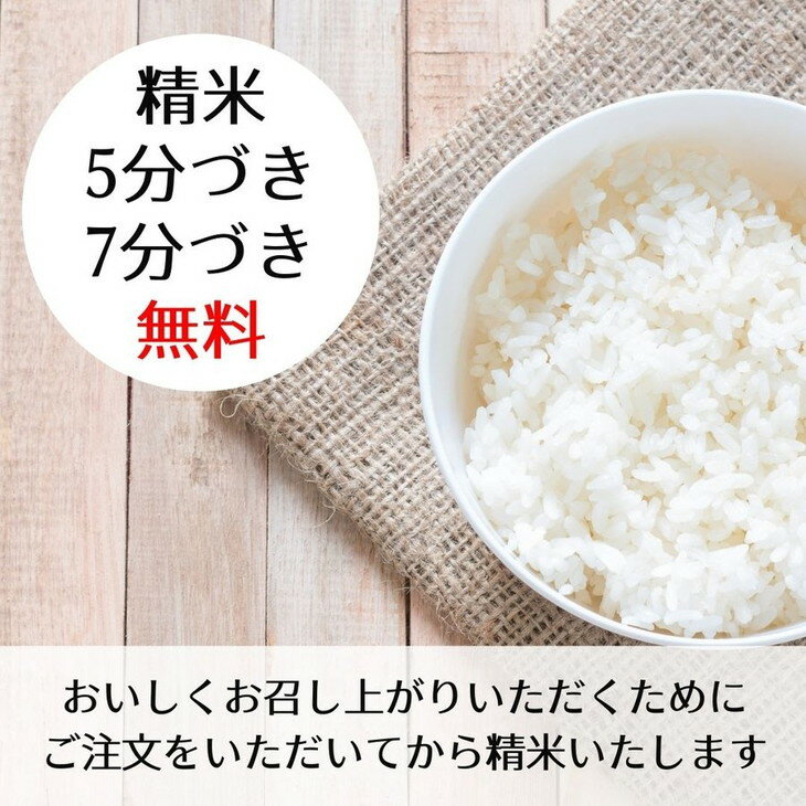 【ふるさと納税】京都丹波産こしひかり 玄米 30kg≪5つ星お米マイスター 厳選 受注精米可(白米・5分付き・7分つき・無洗米)≫※離島への配送不可(北海道・沖縄本島は可)