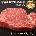 【ふるさと納税】シャトーブリアン ヘレステーキ 京都府産 黒毛和牛 豪華2段重 100g×6枚 計600g【ステーキソース付】《厚切り ヒレ 急速冷凍 真空パック 贈答 プレゼント ギフト》※着日指定不可