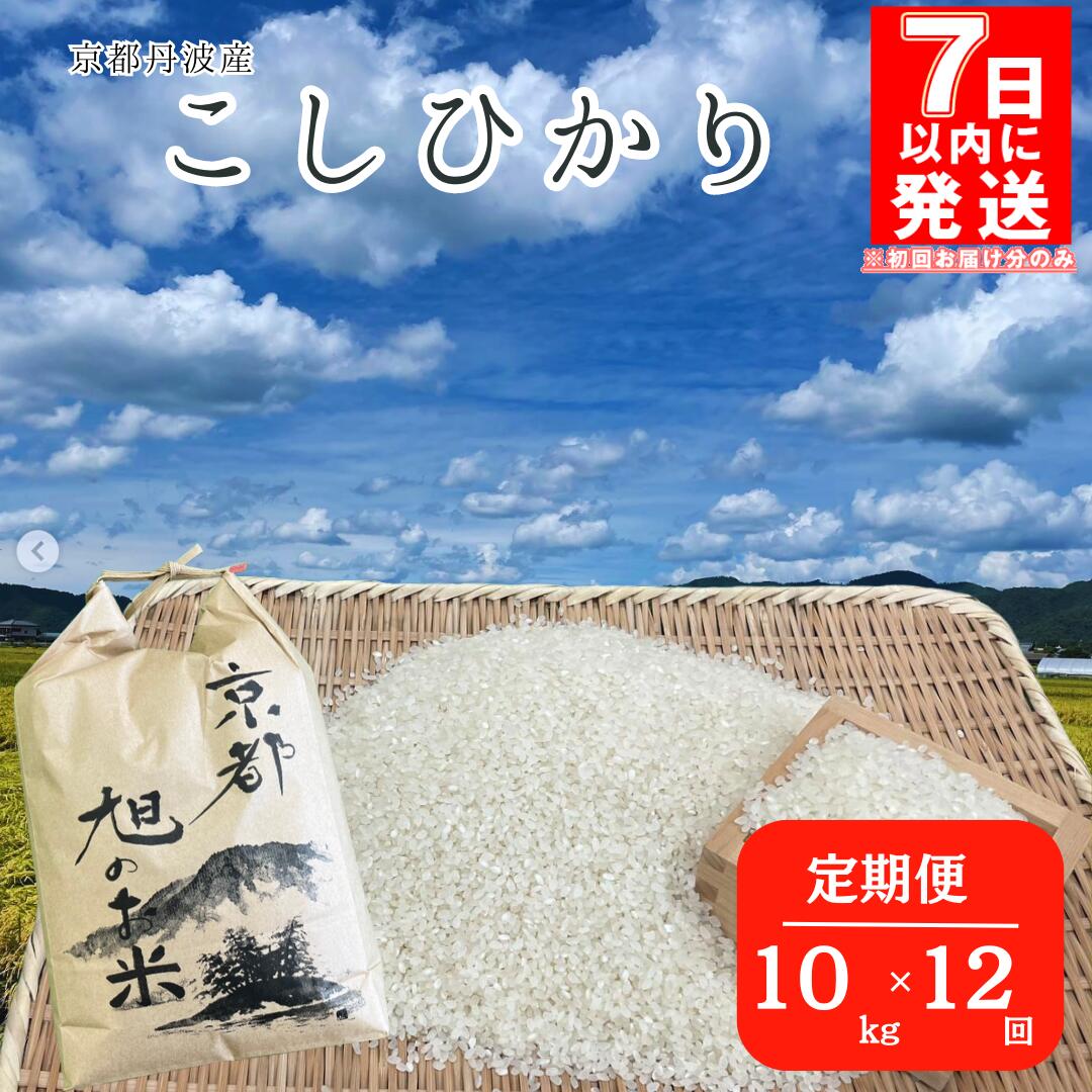 【ふるさと納税】【7日以内発送】【12回定期便】「京都 旭の