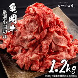 ڤդ뤵Ǽǡ۵ԤŤĲ   ڤȤ ڤ 1.2kg̾900g300gˢ ۵޻ٱ µ   դ뤵ǼǵMVPդ뤵ǼǾ 12020ǯ10 ڵCP