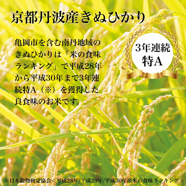 【ふるさと納税】訳あり 京都丹波産 きぬひかり 10kg(5kg×2)×3ヶ月 計30kg ※米食味鑑定士厳選 ※精米したてをお届け【京都伏見のお米問屋が精米】【3回定期便】《コロナ支援 緊急支援 米 令和5年産 新生活》※北海道・沖縄・離島への配送不可