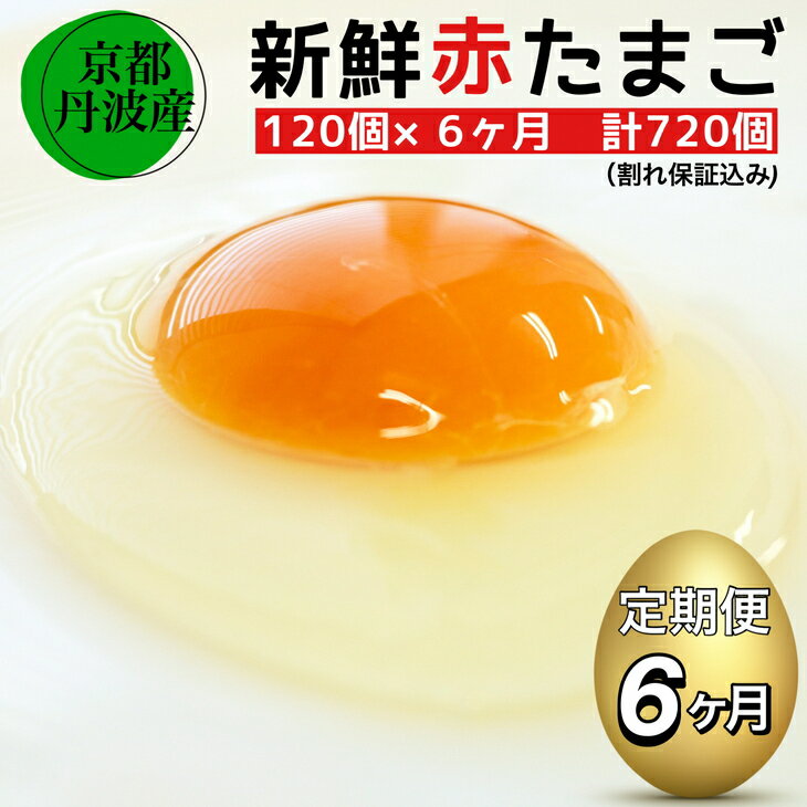 2位! 口コミ数「0件」評価「0」【6回定期便】新鮮 卵 京都・丹波の赤たまご 120個（100個＋割れ保障20個）×6ヶ月 計720個 《生卵 たまご 鶏卵 小分け 半年間･･･ 