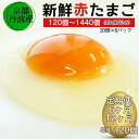 【ふるさと納税】】\選べる1回・定期便/ 新鮮 卵 京都・丹波の赤たまご 100個(20個×5パック)+割れ保証20個6ヶ月・12ヶ月 生卵 たまご 鶏卵 小分...