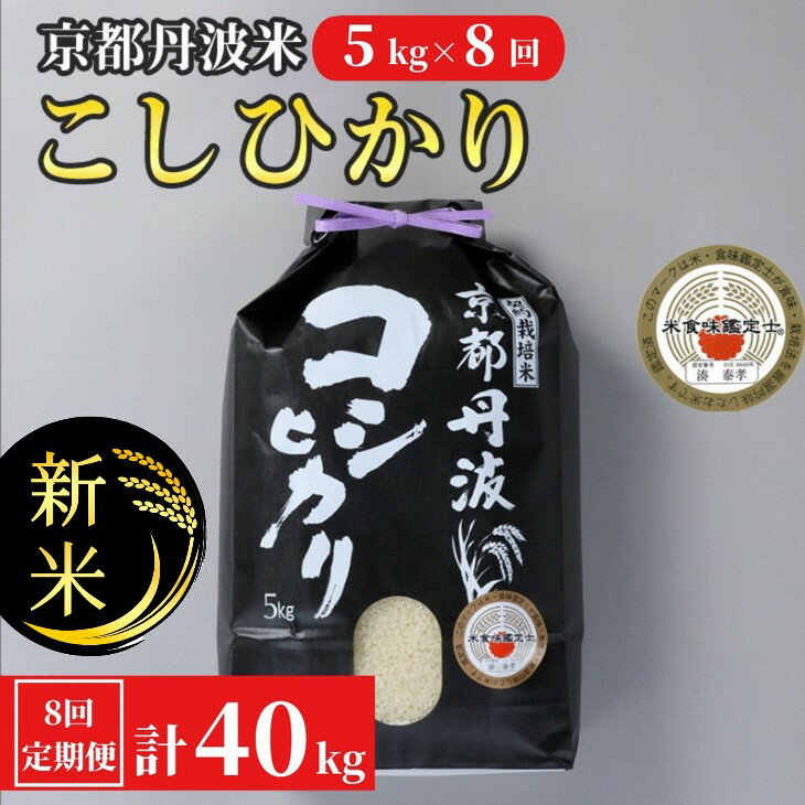 【定期便】令和6年産 新米 先行予約 訳あり 京都丹波米こしひかり5kg×8回 計40kg 定期便 米 5kg 8ヶ月 白米 8回定期便 ※精米したてをお届け 米・食味鑑定士 厳選 コシヒカリ 京都丹波産 ※北海道・沖縄・離島の配送不可※2024年9月上旬以降順次発送予定