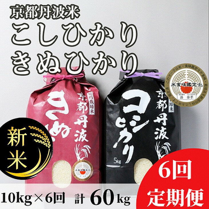 【ふるさと納税】【定期便】令和6年産 新米 先行予約 訳あり 京都丹波米10kg(こしひかり5kg・きぬひかり5kg)×6回 計60kg 6ヶ月定期便 米 6回定期便 コシヒカリ・キヌヒカリ 各5kg ※精米したてをお届け ※北海道・沖縄・離島への配送不可※2024年9月上旬以降順次発送予定