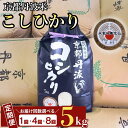 【ふるさと納税】【訳あり・生活応援】【7年産 新米】京都丹波米 こしひかり 定期便 5kg 1回/4回/8回 白米 4ヶ月 8ヶ月 精米したてをお届け 米・食味...