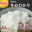 【ふるさと納税】無洗米 10kg(5kg×2袋) 京都丹波産 キヌヒカリ ※受注精米《米 白米 きぬひかり 10kg 5キロ×2袋 ふるさと納税 無洗米 大嘗祭供納品種》※北海道・沖縄・離島への配送不可