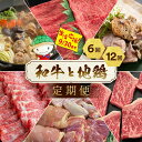 【ふるさと納税】【訳あり・生活応援】和牛と地鶏 定期便 6回/12回<京都亀岡丹波山本×ひら山>京の肉&地鶏丹波黒どり・丹波赤どり 冷凍 お楽しみセット≪訳あり 不揃い ふるさと納税 定期便 肉 12ヶ月 6ヶ月 鶏肉 牛肉 地鶏 黒毛和牛 国産 ≫【9月30日まで 寄附額改定】