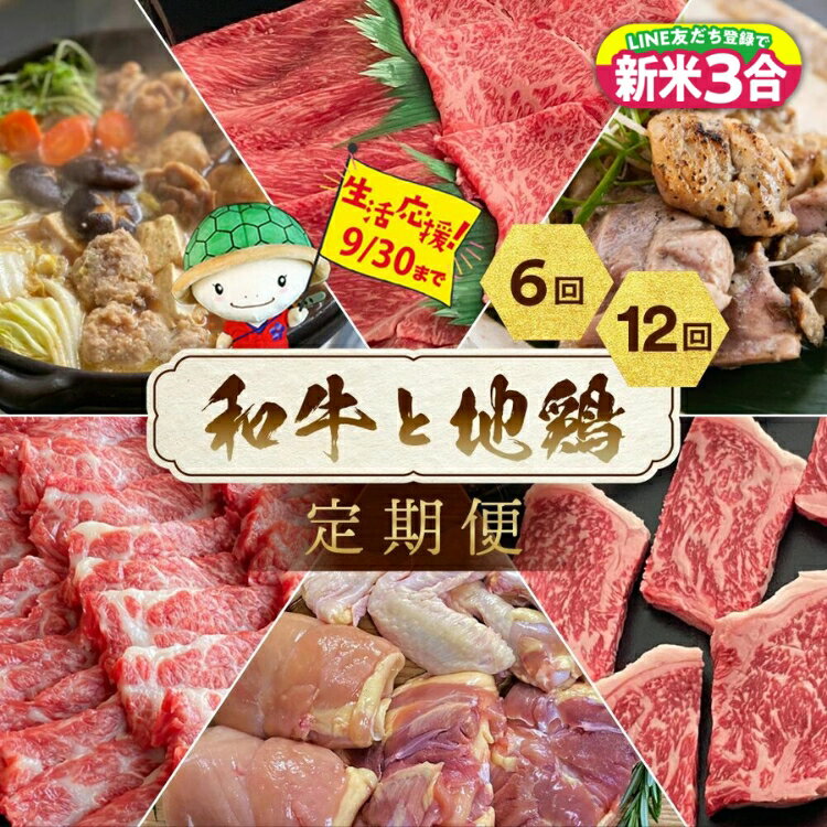 【ふるさと納税】【訳あり・生活応援】和牛と地鶏 定期便 6回/12回＜京都亀岡丹波山本×ひら山＞京の肉＆地鶏丹波黒どり・丹波赤どり 冷凍 お楽しみセット≪訳あり 不揃い ふるさと納税 定期便 肉 12ヶ月 6ヶ月≫【12回定期便のみ+ムネ肉2kg】【9月30日まで 寄附額改定】のサムネイル