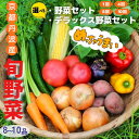 【ふるさと納税】野菜 定期便 選べる 1回 4回 8回 10回 旬の野菜セット 京都丹波産 <369商店>(DXには平飼い卵10個、季節の果物又は加工品付き)※...