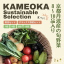 【ふるさと納税】野菜 定期便 選べる 1回 4回 8回 10回 旬の野菜セット 京都丹波産 <369商店>(DXには平飼い卵10個、季節の果物又は加工品付き)※全て栽培期間中農薬・化学肥料不使用 ※北海道・沖縄・離島への配送不可
