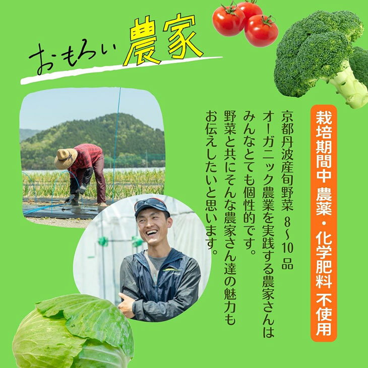 【ふるさと納税】＜369商店＞京都丹波産旬の野菜セット※全て栽培期間中農薬・化学肥料不使用☆月間MVPふるさと納税賞 第1号（2020年10月）・SDGs未来都市亀岡 発送月選択 発送時期が選べる