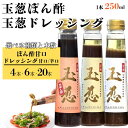 【ふるさと納税】\選べる種類・本数/玉葱ドレッシング 甘口 辛口・玉葱ポン酢 甘口 4本 6本 20本 選べる味・本数 ≪調味料 セット 詰め合わせ 和風 まとめ買い ギフト 人気 サラダ お取り寄せ マイルド 子ども向け ピリ辛 人気≫