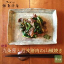 【ふるさと納税】すみや亀峰菴 特製 九条葱と丹波猪肉の山椒焼き (2人前) ジビエ 天然 猪肉 イノシシ 肉 にく 九条ねぎ ネギ 特製たれ付き 焼くだけ 簡単...
