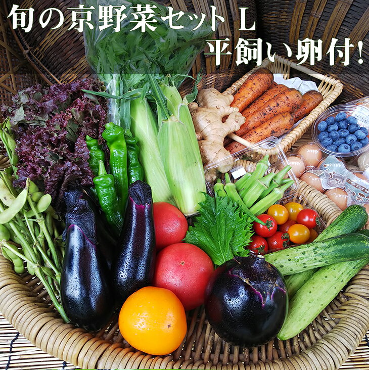 【ふるさと納税】《アスカ有機農園》旬の京野菜セットL(平飼い卵付)≪野菜 やさい 京都 京野菜 たまご 卵 セット 詰め合わせ 無農薬 有機 有機栽培 有機野菜 旬 新鮮 冷蔵 直送 ふるさと納税野菜≫☆月間MVPふるさと納税賞 第1号（2020年10月）・SDGs未来都市亀岡