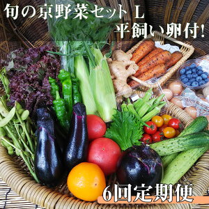 【ふるさと納税】【6回定期便】＜アスカ有機農園＞旬の京野菜セットL（平飼い卵付）＊毎月お届け全6回≪定期便 定期 野菜 やさい 京都 京野菜 たまご 卵 セット 詰め合わせ 無農薬 有機 有機栽培 有機野菜 旬 新鮮 冷蔵 直送 ふるさと納税野菜≫