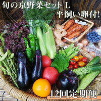 【ふるさと納税】【12回定期便】＜アスカ有機農園＞旬の京野菜セットL（平飼い卵付）＊毎月お届け全12回≪定期便 セット ふるさと納税野菜 たまご≫