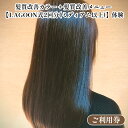 【ふるさと納税】髪質改善カラー + 髪質改善メニュー【LAGOON式2回分(ミディアム以上)】《体験 ご利用券 美容 サロン 美容室 ヘアケア トレーニング ケ...