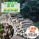 【ふるさと納税】春休み 自然体験 親子でしいたけ原木菌打ち体験(家族単位)原木5本持ち帰り可 体験 森林 椎茸 日帰り ピクニック 京都 丹波 亀岡