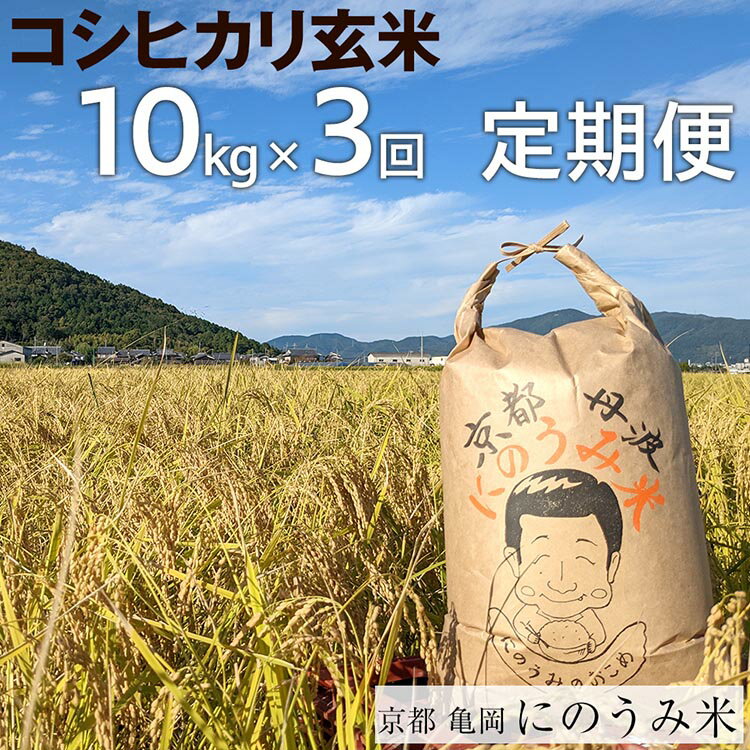 【ふるさと納税】【定期便】【令和6年産先行予約】米 コシヒカ