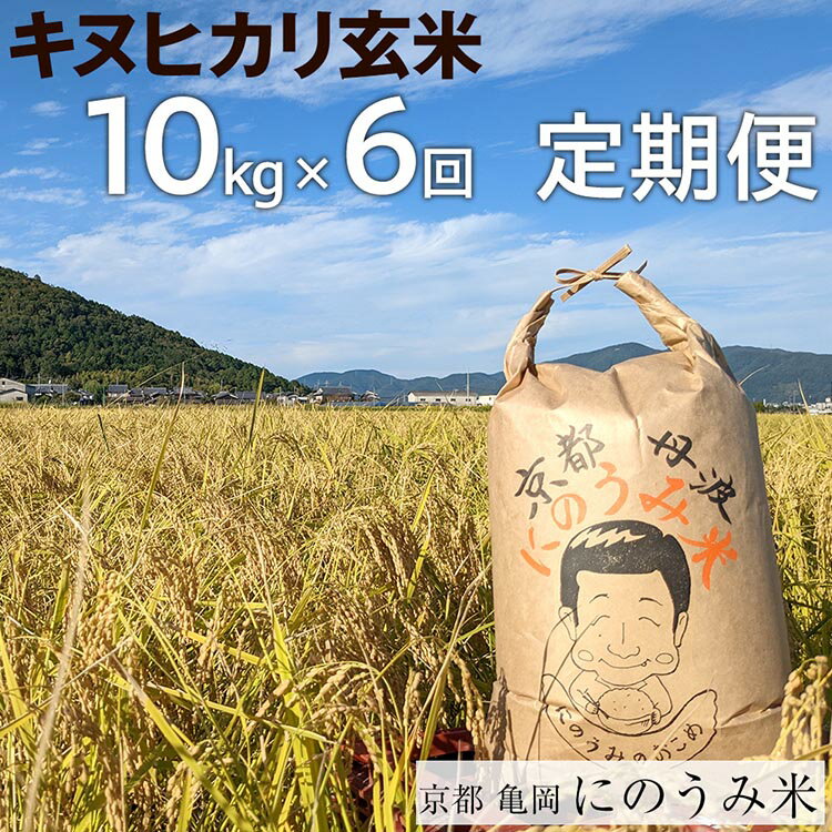 【定期便】【令和6年産先行予約】米 キヌヒカリ 定期便 玄米 10kg×6カ月〈アグリにのうみ〉京都・亀岡産《令和6年産》※北海道・沖縄・離島への配送不可※2024年10月中旬頃より順次発送予定